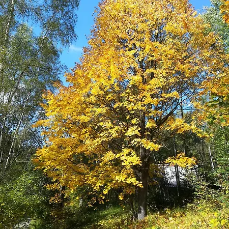 Na Ramzove Ostružná